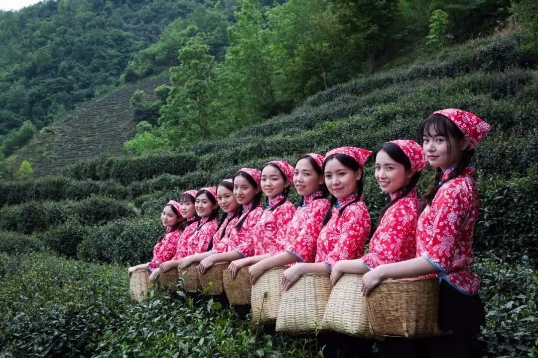 紫阳富硒茶政治环境（紫阳富硒茶园观光）-硒宝网