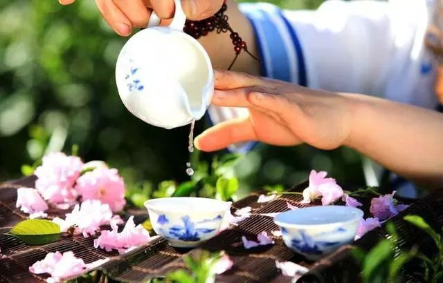 紫阳富硒茶政治环境（紫阳富硒茶园观光）-硒宝网