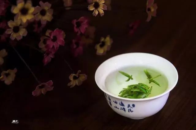 紫阳富硒茶政治环境（紫阳富硒茶园观光）-硒宝网