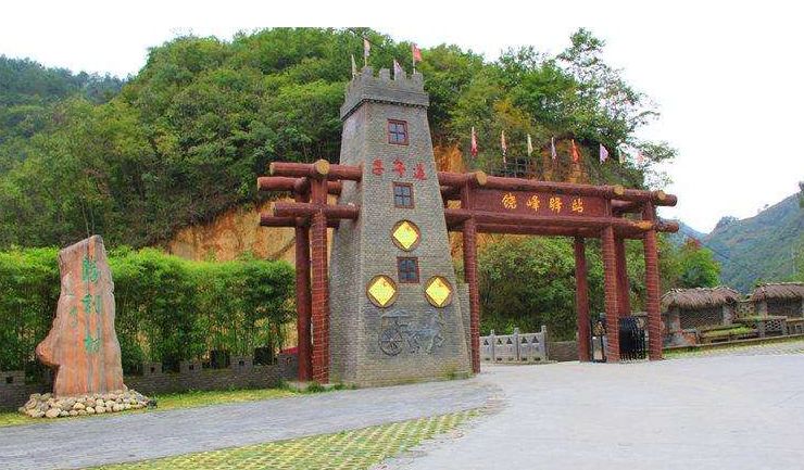 紫阳富硒茶政治环境（紫阳富硒茶园观光）-硒宝网