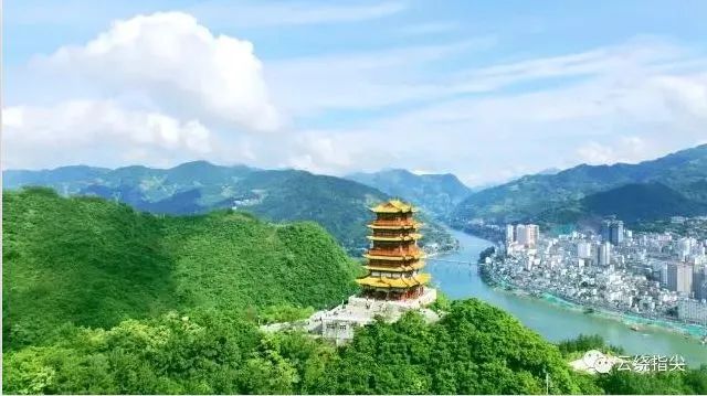 紫阳富硒茶政治环境（紫阳富硒茶县长直播）-硒宝网