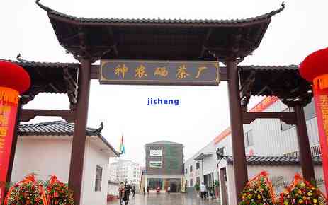 石台富硒茶加工工艺(石台硒茶多少钱)-硒宝网