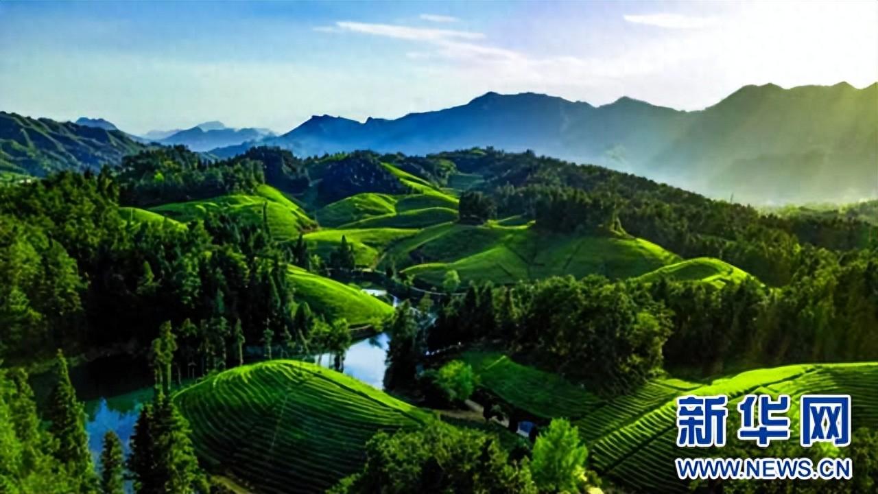 江夏富硒茶玉露企业(恩施富硒茶玉露)-硒宝网