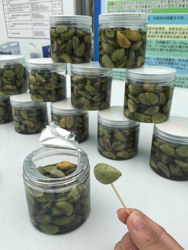 安康紫阳富硒茶诗句（安康紫阳富硒茶价格）-硒宝网