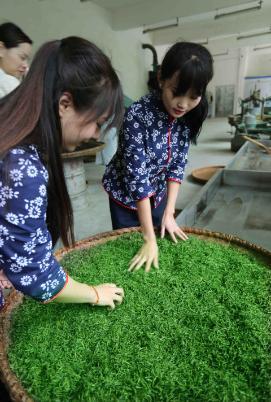 安康紫阳富硒茶诗句（紫阳富硒茶宣传语）-硒宝网