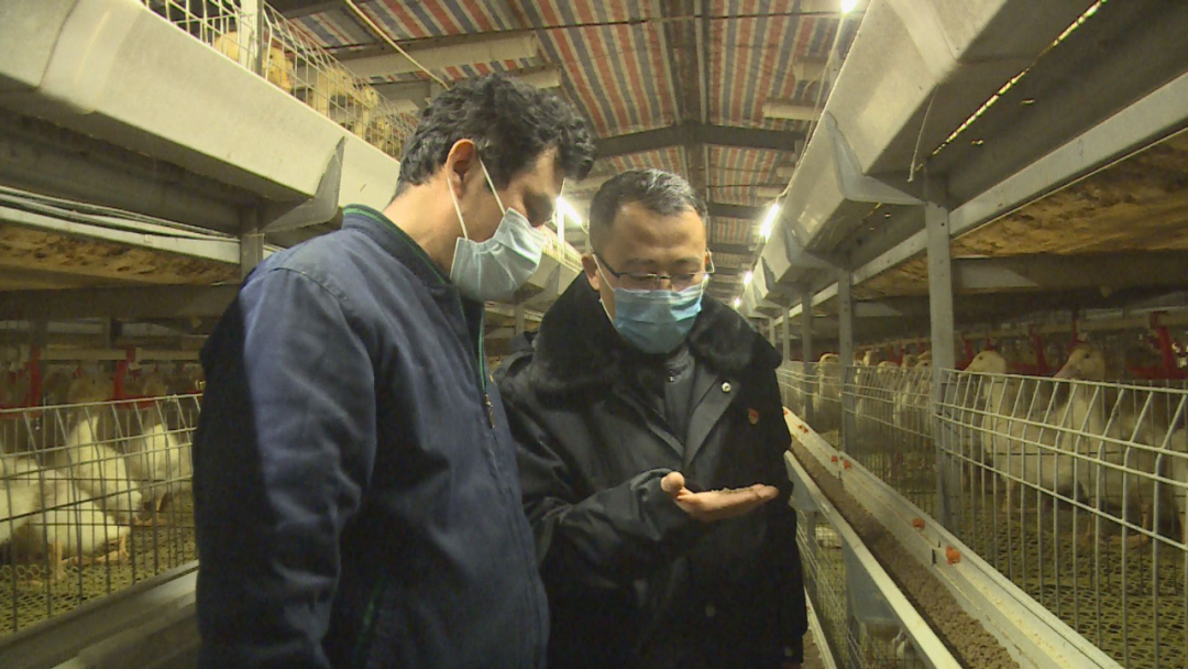 富硒茶销售技巧视频（富硒茶营销策划方案）-硒宝网