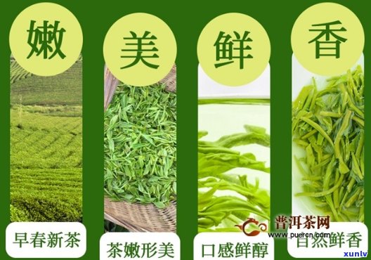 富硒茶什么茶叶最好（茶叶茶富硒好喝吗）-硒宝网