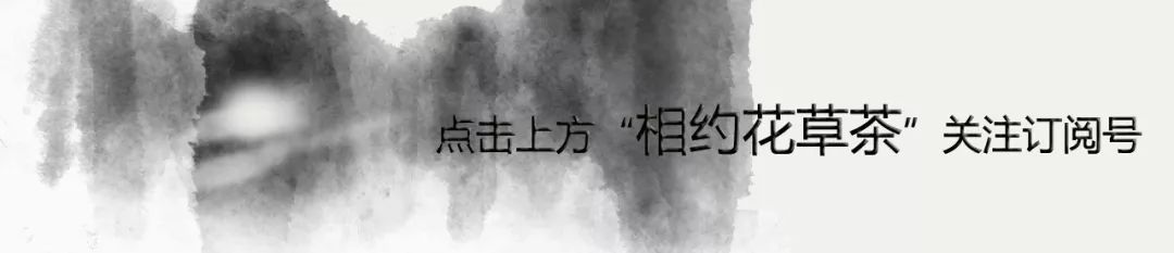 富硒茶什么茶叶最好（富硒的茶）-硒宝网