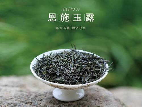 辽宁富硒茶恩施玉露(恩施玉露茶和富硒茶一样吗)-硒宝网