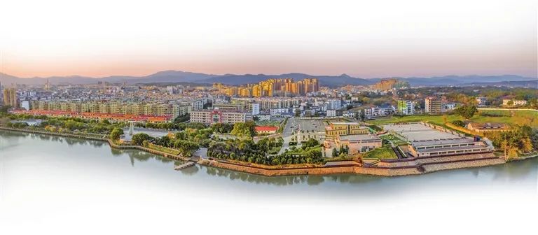 于都富硒盘古茶介绍(于都县盘古龙珠茶业有限公司)-硒宝网