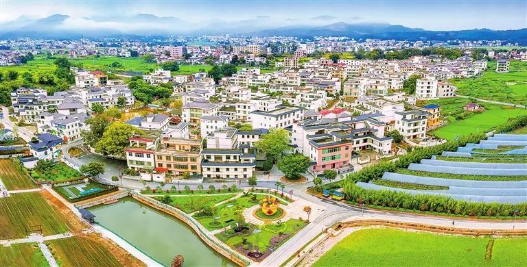 于都富硒盘古茶介绍(于都县盘古龙珠茶业有限公司)-硒宝网