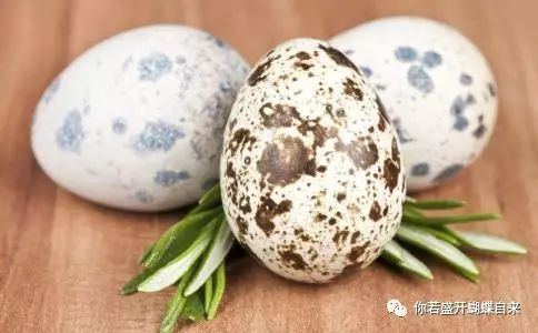 补钙吃什么食物好(食物补钙吃好还是吃好)-硒宝网