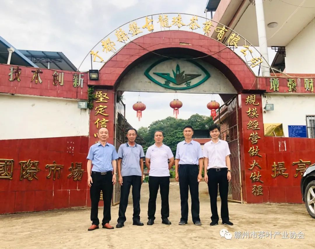 于都富硒盘古茶介绍（于都盘古山茶叶）-硒宝网