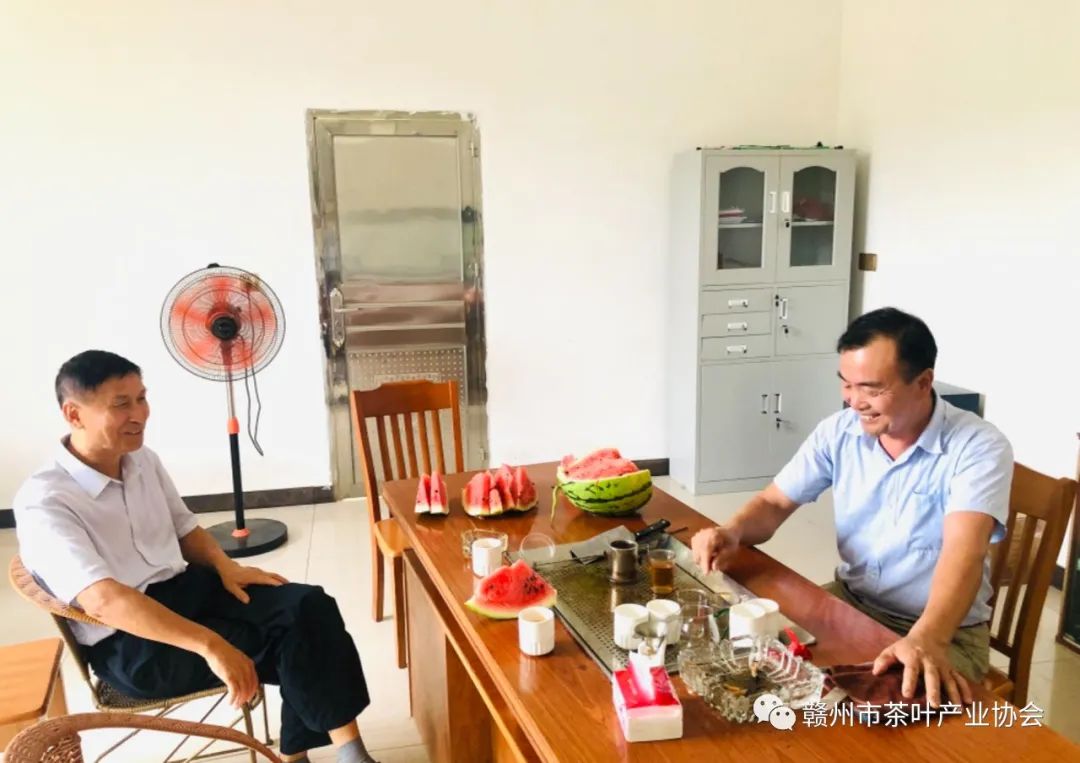 于都富硒盘古茶介绍（于都盘古山茶叶）-硒宝网