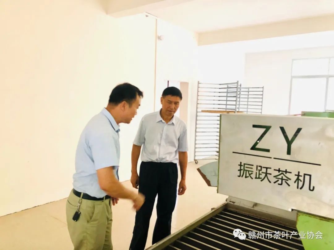 于都富硒盘古茶介绍（于都盘古山茶叶）-硒宝网