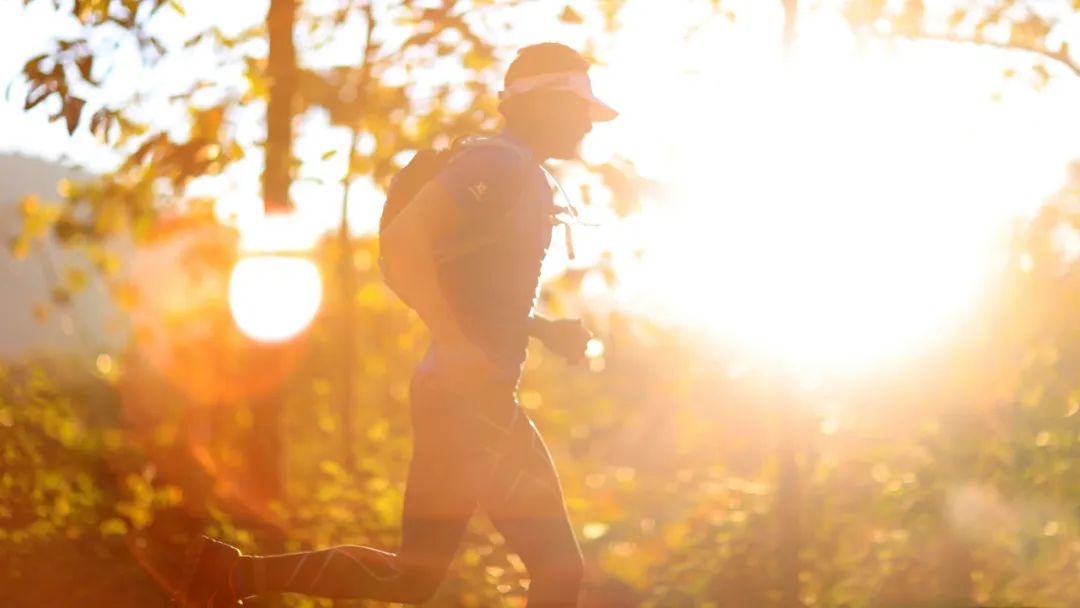 补钙吃什么食物好（食物补钙好还是钙片好）-硒宝网