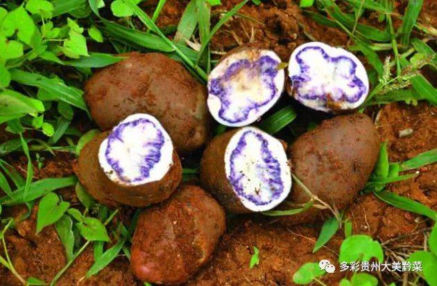 开阳富硒茶打农药吗(富硒药农用)-硒宝网