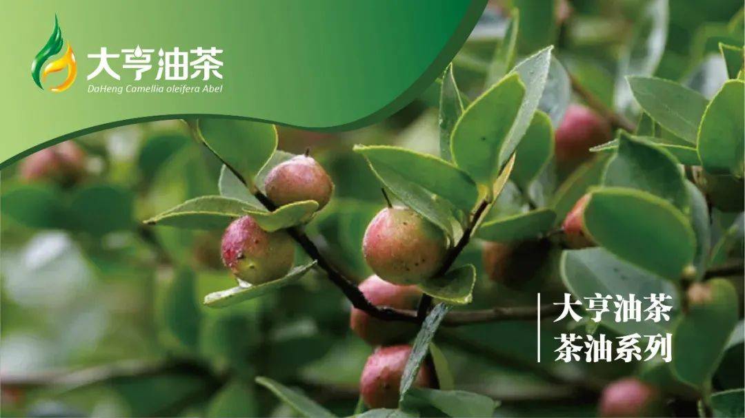 开阳富硒茶打农药吗(富硒药农用)-硒宝网