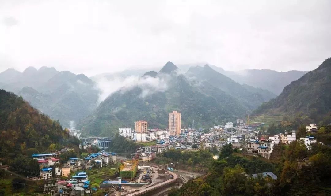 河北富硒毛坝茶加工（富硒毛尖茶是哪里产的）-硒宝网