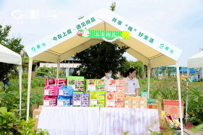 安康富硒茶公用品牌(安康公用茶富硒品牌怎么样)-硒宝网