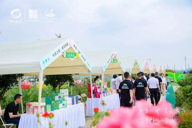 安康富硒茶公用品牌(安康公用茶富硒品牌怎么样)-硒宝网