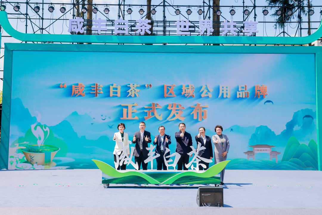 白茶与富硒茶哪个好（富硒白茶是什么茶）-硒宝网