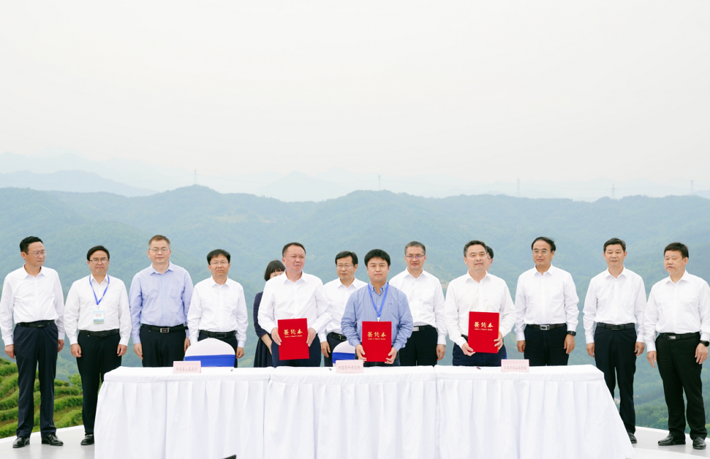 安康平利富硒茶价格(安康富硒茶是绿茶吗)-硒宝网