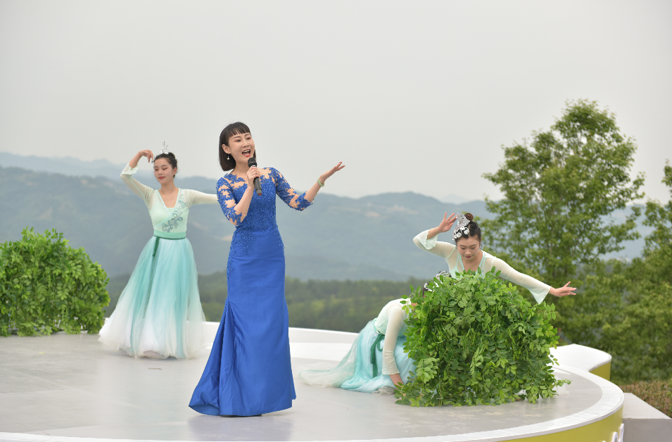 安康平利富硒茶价格(安康富硒茶是绿茶吗)-硒宝网