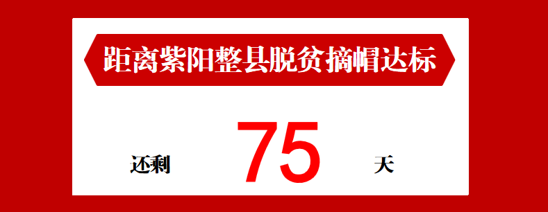 河北富硒毛坝茶加工（富硒茶批发）-硒宝网