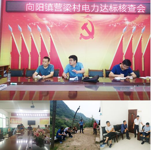 河北富硒毛坝茶加工（富硒茶批发）-硒宝网