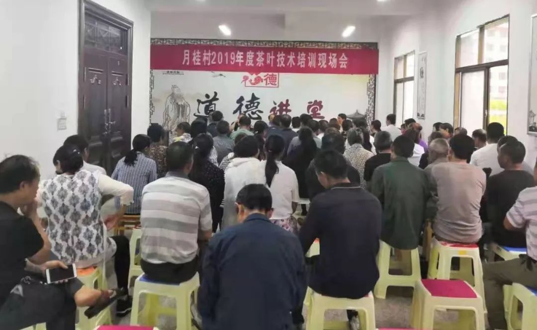 河北富硒毛坝茶加工（富硒茶批发）-硒宝网