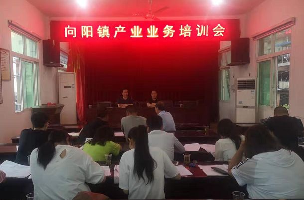 河北富硒毛坝茶加工（富硒茶批发）-硒宝网