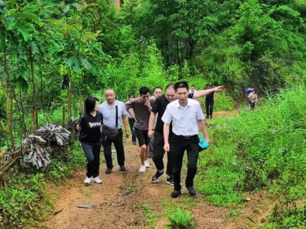 河北富硒毛坝茶加工（富硒茶批发）-硒宝网