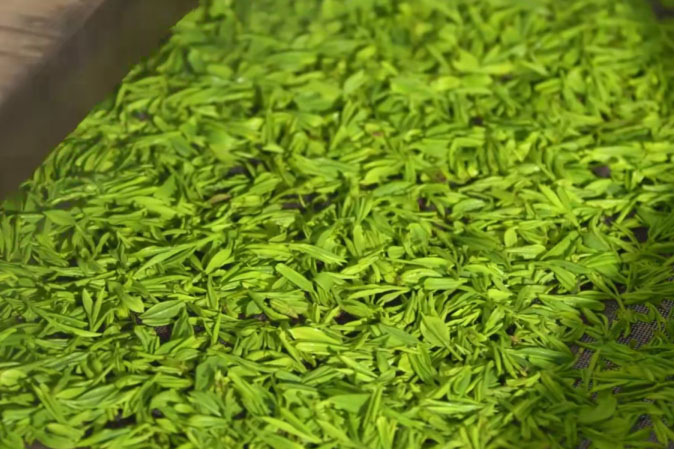 恩施施州富硒茶价格(恩施富硒绿茶的功效与作用)-硒宝网