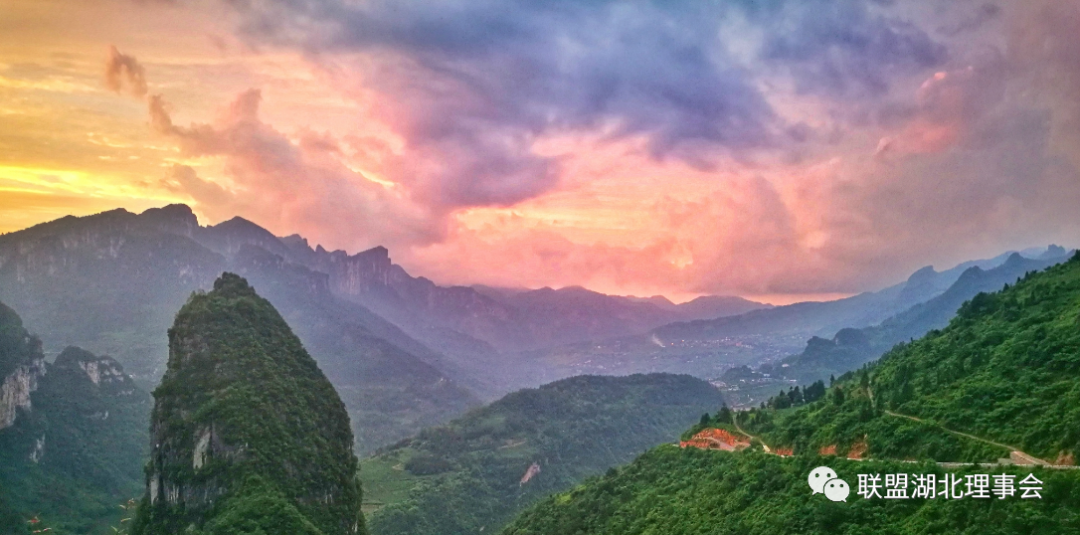 紫阳富硒茶含激素吗(激素茶含紫阳富硒多少)-硒宝网