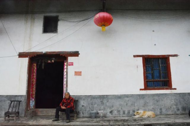 安康富硒茶能放多久(安康富硒茶的优势)-硒宝网