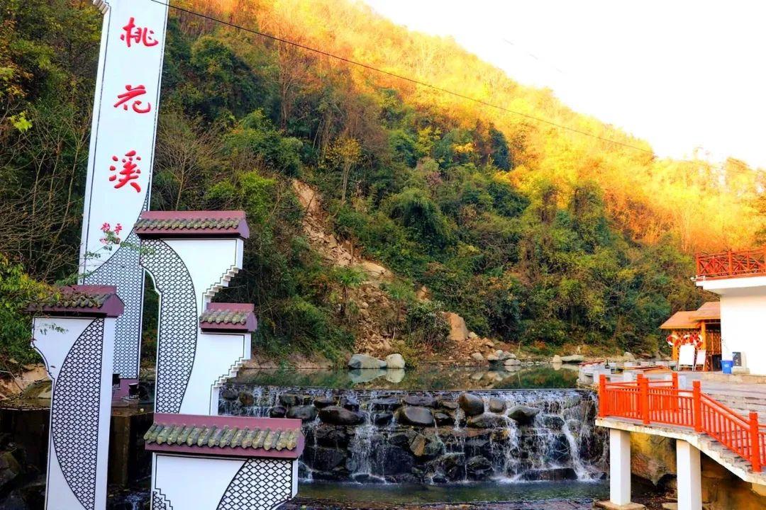 南宫山富硒茶介绍语（南宫山富硒茶多少钱）-硒宝网