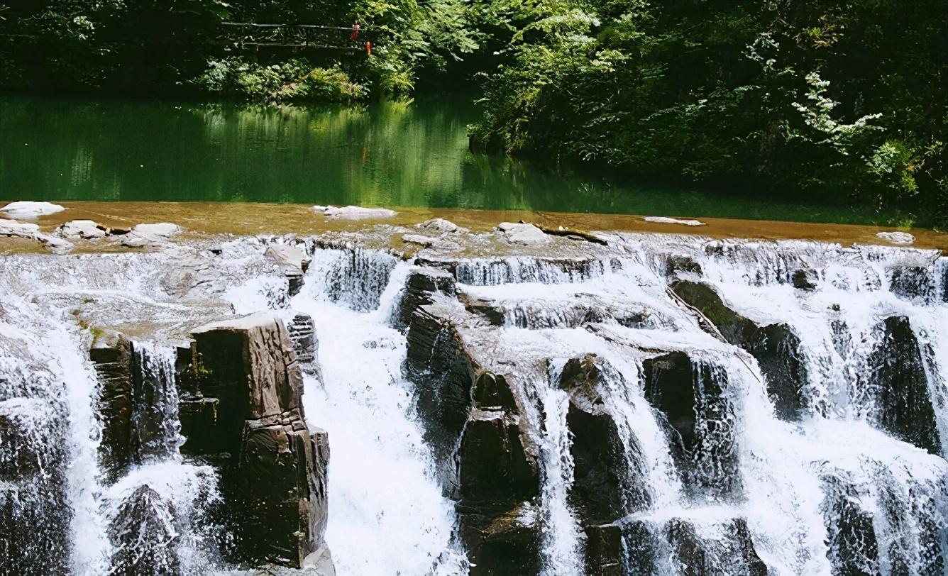 南宫山富硒茶介绍语（南宫山富硒茶多少钱）-硒宝网