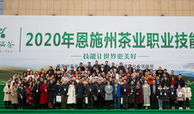 恩施哪里的富硒茶好(恩施富硒茶)-硒宝网