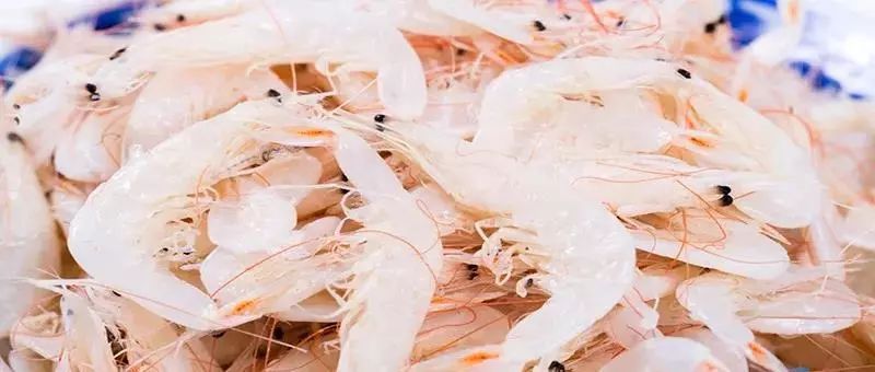 高钙牛奶真的能补钙吗(补钙牛奶能长高吗)-硒宝网