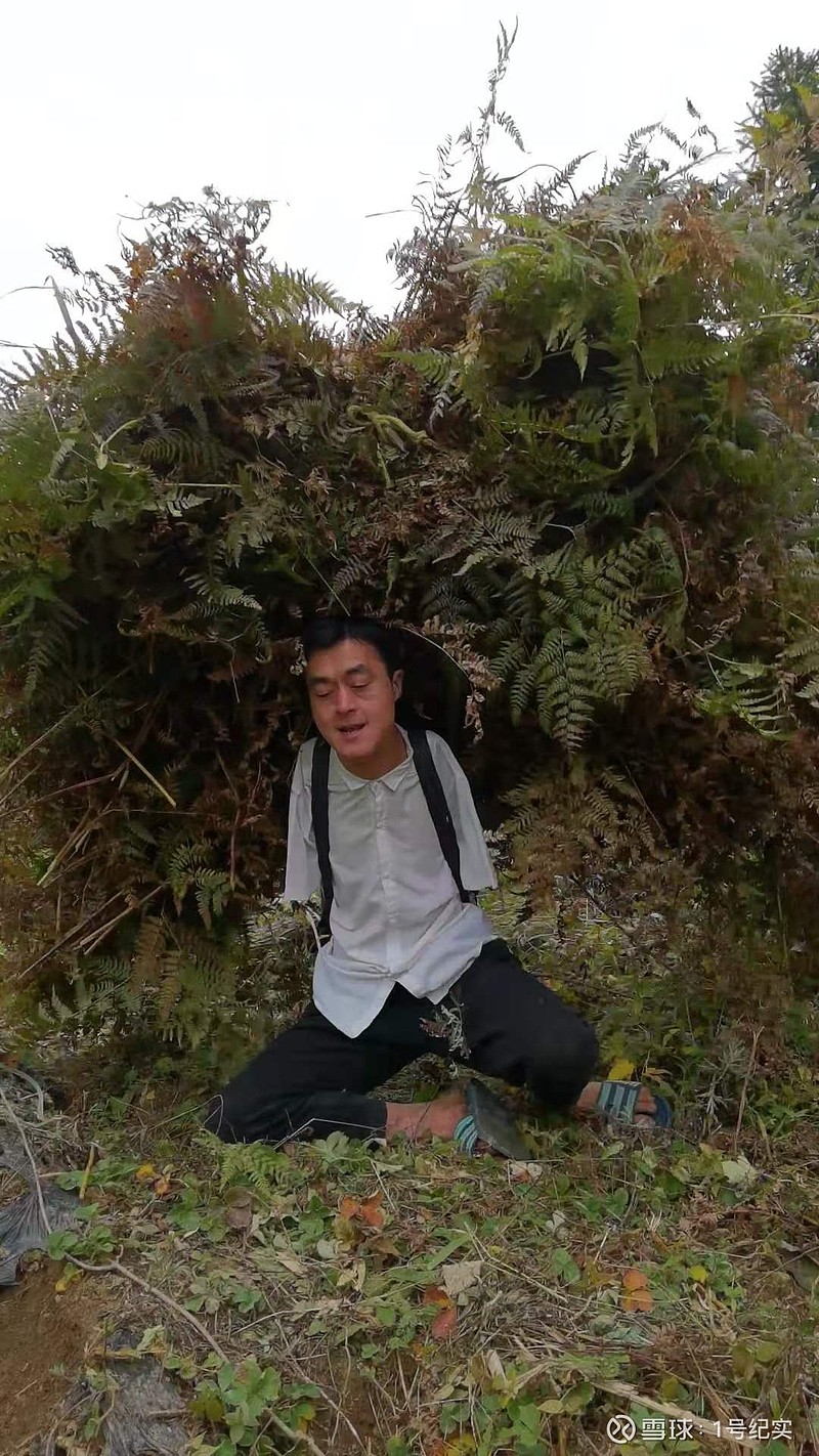 每天喝富硒茶好吗吗（喝富硒茶的好处）-硒宝网