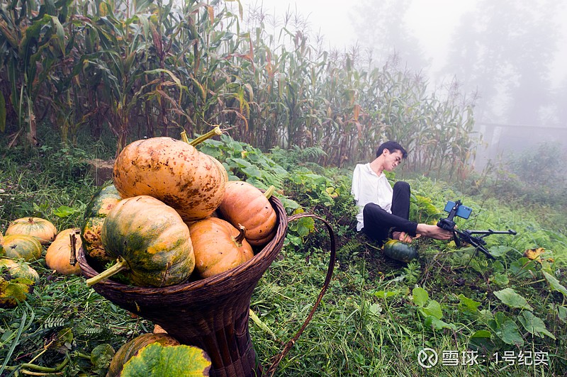 每天喝富硒茶好吗吗（喝富硒茶的好处）-硒宝网