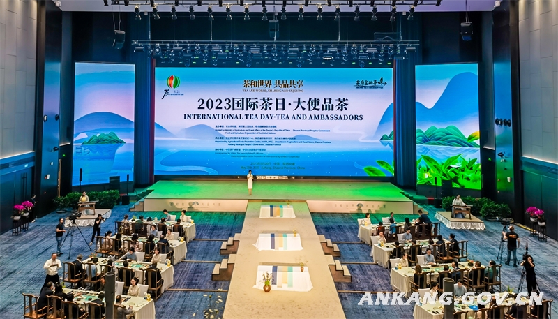 安康富硒茶能放多久(安康富硒茶多少钱一斤)-硒宝网