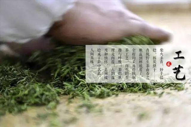 富硒茶的上市季节是(富硒茶什么季节喝)-硒宝网