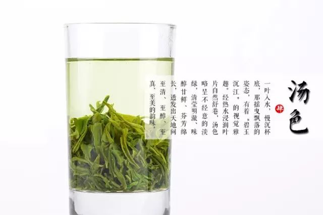 富硒茶的上市季节是(富硒茶什么季节喝)-硒宝网