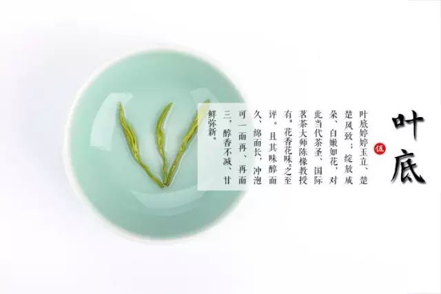 富硒茶的上市季节是(富硒茶什么季节喝)-硒宝网
