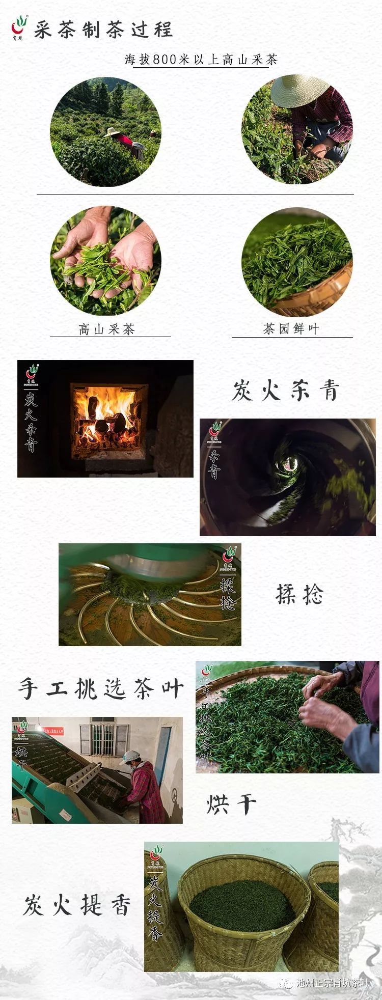 富硒茶的上市季节是(富硒茶什么季节喝)-硒宝网