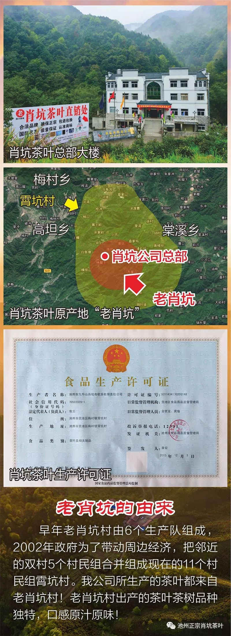 富硒茶的上市季节是(富硒茶什么季节喝)-硒宝网