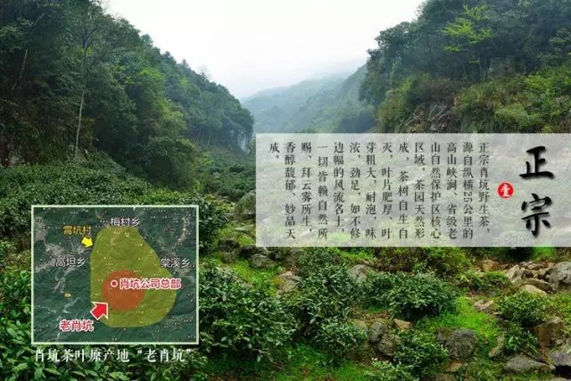 富硒茶的上市季节是(富硒茶什么季节喝)-硒宝网