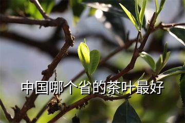 富硒黑茶可以泡多久(富硒黑茶多少钱)-硒宝网